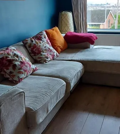 Bellevue Bungalow - Comfortable Home With Amazing Views Belfast Extérieur photo