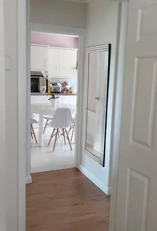 Bellevue Bungalow - Comfortable Home With Amazing Views Belfast Extérieur photo